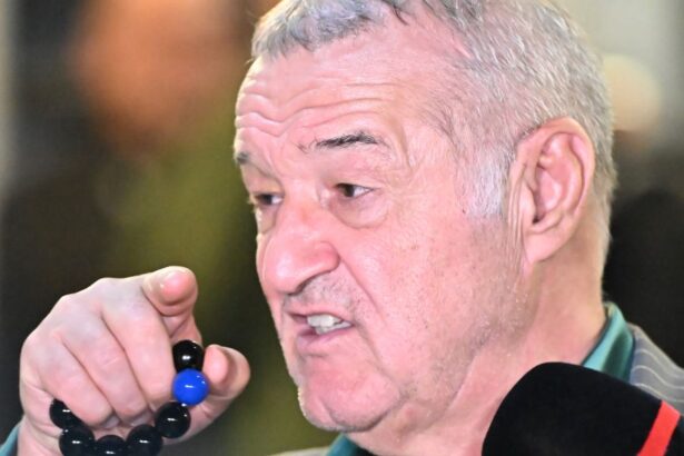 gigi becali nu renunta la politic noi discutii cu andrei nicolescu si un detaliu cheie 6824398916f1b