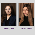 guvernanta corporativa din nou in atentia legiuitorului opinie filip company 68270ca9138eb