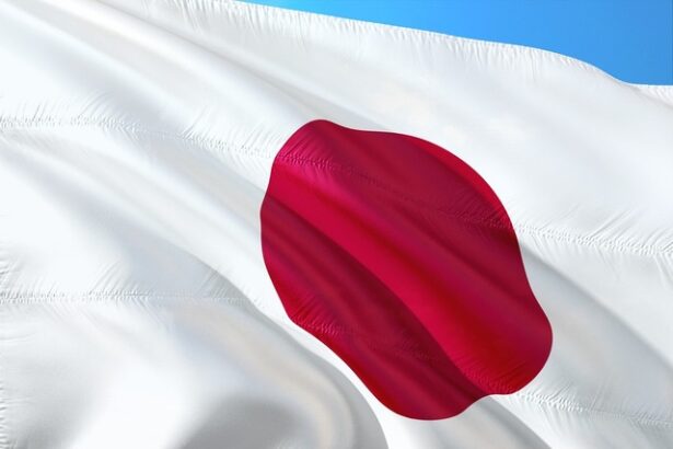 japonia pregateste primul program de stimulare a economiei pentru a combate efectele taxelor vamale americane 68346503855c0