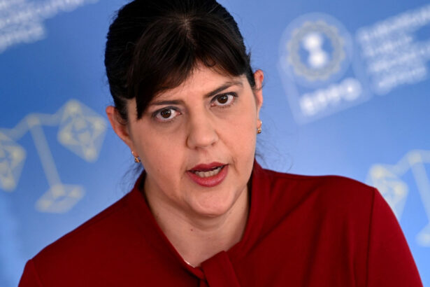 laura codruta kovesi acuza atacuri si intimidari la adresa parchetului uniunii europene 6835aa8b07bd0