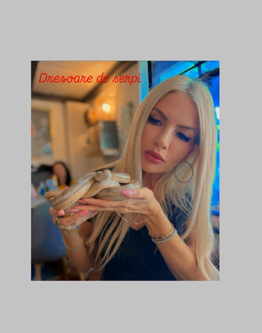 laura vicol din dosarul nordis postare inedita in online tin un sarpe in mana dar n am emotii de a lungul vietii am intalnit multi serpi bipezi ipocriti si tradatori 68203c3301ba5
