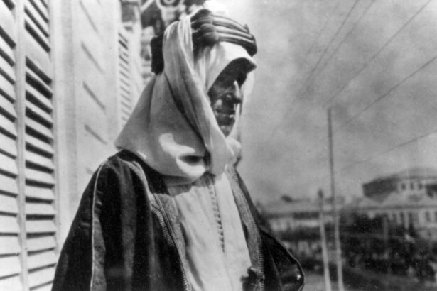lawrence al arabiei in umbra desertului viata secreta a lui t e lawrence 68372101642c1