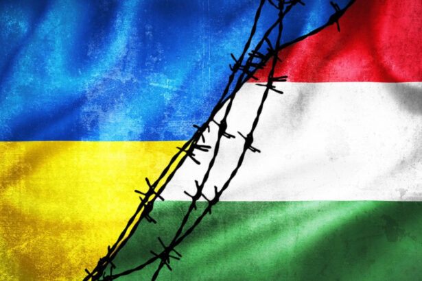 masura luata de ungaria dupa ce ucraina a anuntat ca a arestat doi presupusi spioni ai budapestei 681e0f57cf52e