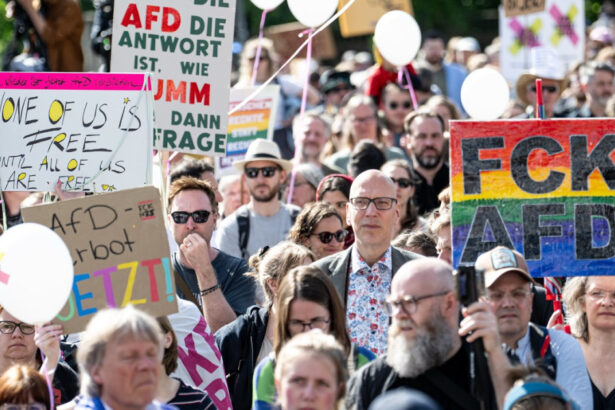 mii de persoane au demonstrat in germania pentru a cere interzicerea afd 682111ef7c7ee