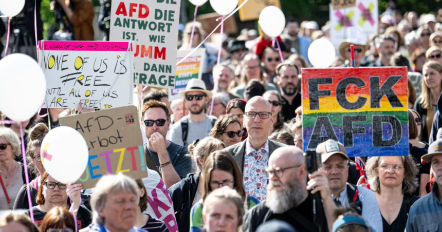 mii de persoane au demonstrat in germania pentru a cere interzicerea afd 682111ef7c7ee