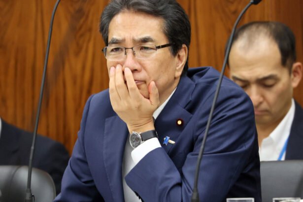 ministrul japonez al agriculturii a demisionat dupa ce a declarat ca nu cumpara orez pentru ca l primeste gratuit 682d6a436282c