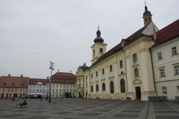 ministrul muncii romania are o crestere de 44 a nivelului de trai fata de acum zece ani 681c8ded44299