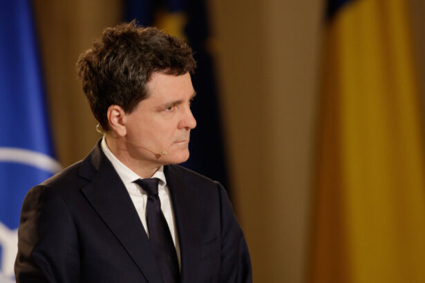 nicusor dan intr un interviu pentru financial times sustin obiectivul cresterii bugetului apararii la 35 6830023416508