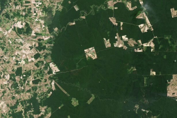 noua gaselnita a cercetatorilor satelit creat pentru a scana padurile pamantului 681839122519a