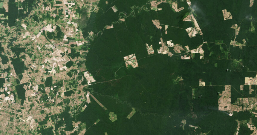 noua gaselnita a cercetatorilor satelit creat pentru a scana padurile pamantului 681839122519a