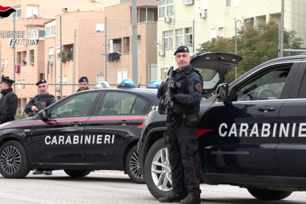 o grupare care deturna fondurile europene a fost destructurata in italia cum actionau persoanele implicate 6836c3fc70a95