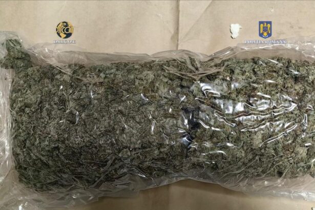 o persoana a fost retinuta pentru trafic de droguri dupa ce cumparase aproape 9 kilograme de cannabis din spania 681e16044f94b