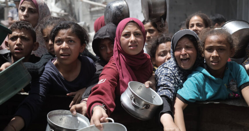 onu israelul a transformat gaza in cel mai infometat loc de pe pamant 68399fb32c1ee