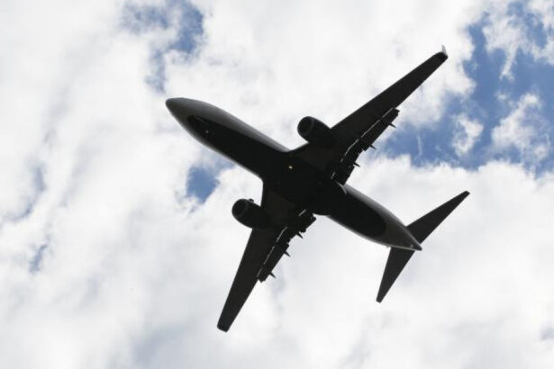 panica la inaltime in sua un pasager a incercat sa deschida usile avionului in timpul zborului pilotii au deviat cursa 6833601076007