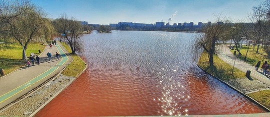 parcul ior va fi transformat intr o gradina muzicala reabilitare pe principiile noului bauhaus european 6835740108d09