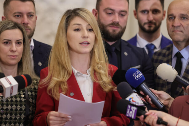 parlamentarii demisionari din pot anunta ca vor promova valorile europene la intalnirea de la cotroceni cu presedintele nicusor dan 68370e87ca8a4