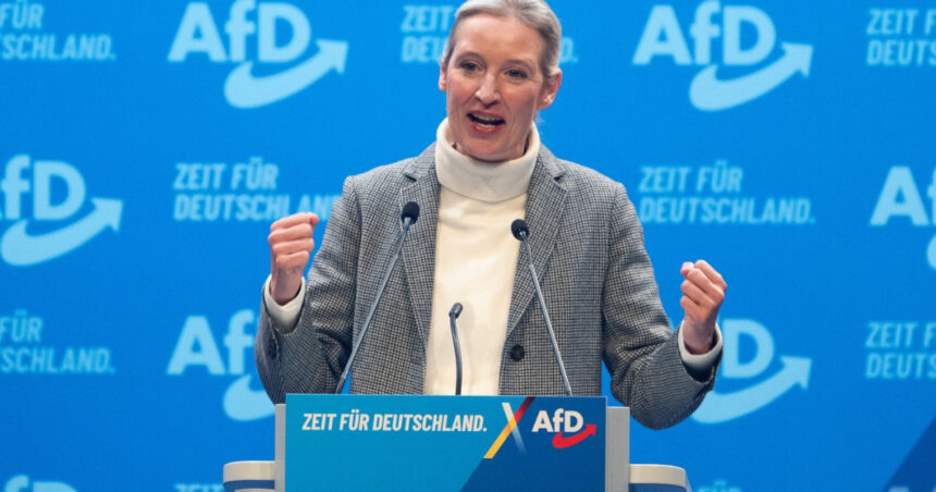 partidul alternativa pentru germania ataca in justitie decizia serviciilor de informatii de a desemna formatiunea drept extremista 6818e54d6dc4a