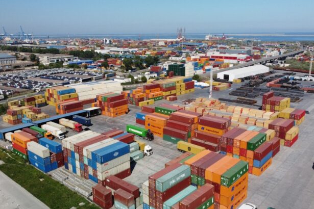 politistii de frontiera au descoperit intr un container sosit din sua 170 de cartuse de vanatoare care urmau sa fie introduse ilegal in tara 6818b7c505860