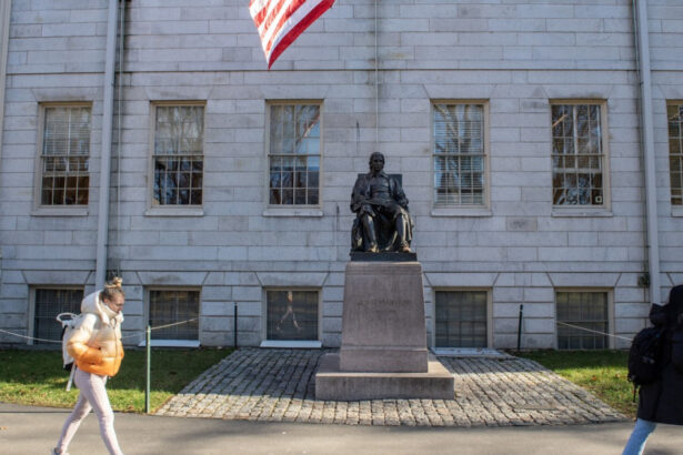 povestea studentului roman prins la mijloc in conflictul harvard trump trebuie neaparat sa termin ultimul an 6831459d4e82f