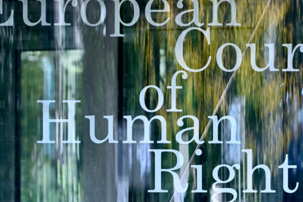 problema migratiei noua tari din ue cer curtii europene a drepturilor omului sa faciliteze expulzarea infractorilor straini 6830183dccfb8