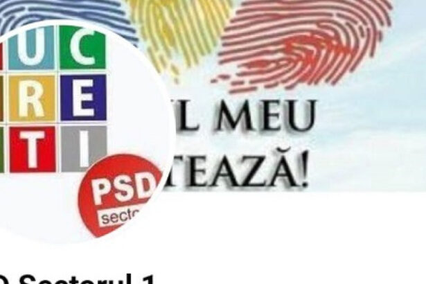 psd sector 1 a reclamat la bec ca le a fost falsificata pagina oficiala de facebook 6828a68776ee1