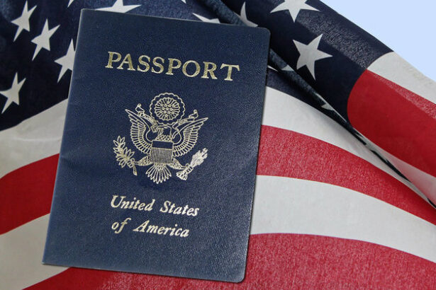 reactia guvernului la scoaterea romaniei din programul visa waiver alegerea noului presedinte poate fi cel mai important moment pentru reluarea demersurilor 6815318922c93