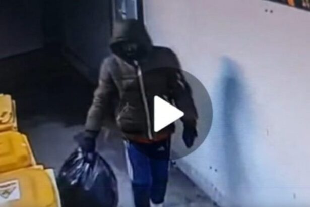 recidivistul cu sacul plin din costinesti a furat sucuri si o motocoasa apoi a dat vina pe o tigara dubioasa 682ba44aeb861