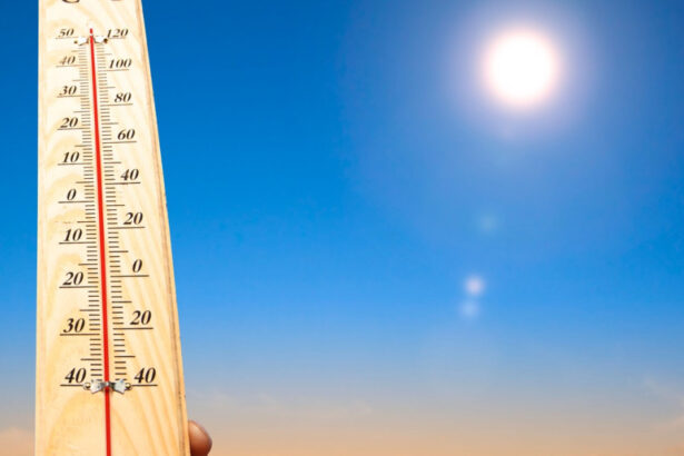record de temperatura in 2025 tara unde termometrele au inregistrat 49 de grade celsius 682f2f53a4537