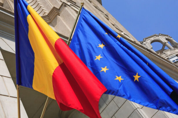 romanian business leaders viitorul romaniei este intr o europa unita libera si prospera nu vom tolera niciun pas inapoi 681e4640dc615