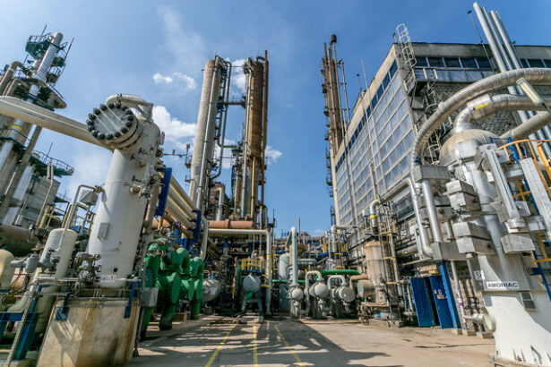 romgaz poate lua o decizie privind preluarea azomures anul acesta daca va fi pozitiva combinatul de ingrasaminte va fi alimentat si cu gaze offshore din neptun deep 68303f97a6fa0