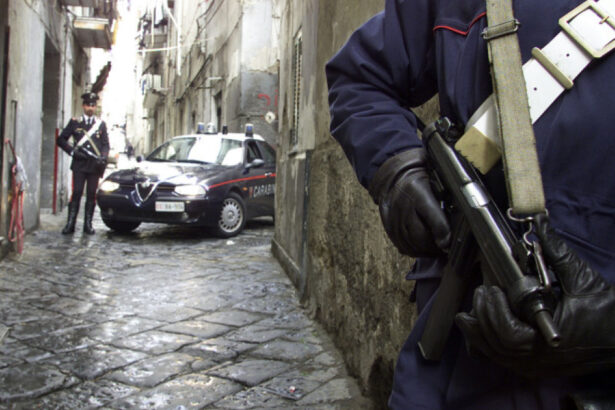 schimbari mari in functionarea organizatiilor criminale ce a observat directia de investigatii antimafia din italia 6835ff6931b1d