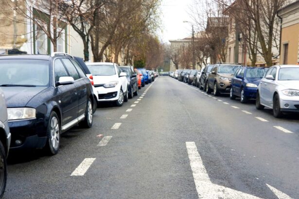 sentinta prin care a fost desfiintata taxa de 200 de lei din constanta atacata cu recurs nu vrem sa lasam portite pentru adoptarea altor taxe similare 682e72157a872