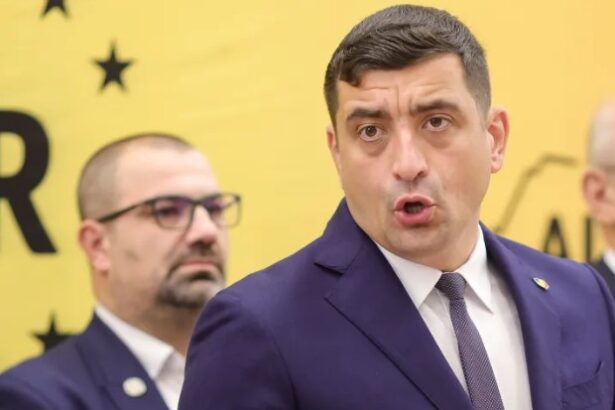 simion a depus la ccr contestatia pentru anularea alegerilor inainte de vot sondajele aratau ca sunt favorit 682d904639b55