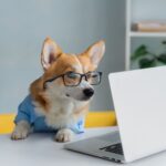 test de cultura generala ce este mai mare decat un terabyte 6814d2f409b36