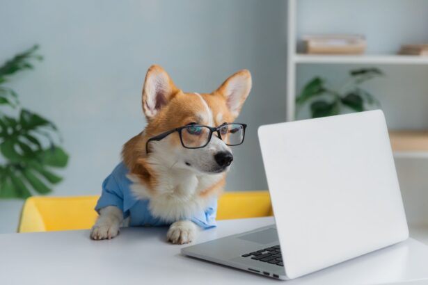 test de cultura generala ce este mai mare decat un terabyte 6814d2f409b36