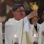 un nou favorit pentru succesiunea la vatican dat de casa britanica de pariuri william hill ar fi primul papa asiatic din istorie 68179b00ac71f