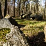 un sit funerar vechi de 4 000 de ani rescrie istoria epocii bronzului 682ded97be644