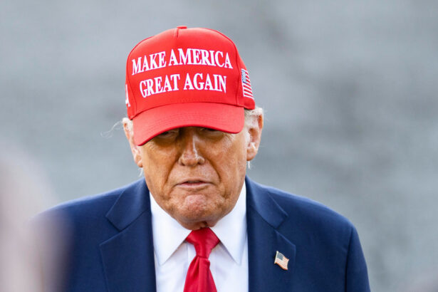 un tribunal american a blocat tarifele vamale dorite de trump argumentand ca doar congresul are autoritatea de a impune taxe 6837fd72691f2