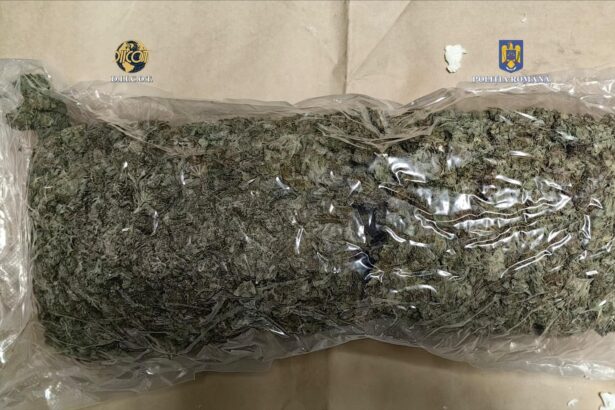 video captura de proportii la constanta aproape 9 kilograme de canabis trimise din spania prin curier 681e09ac7358f