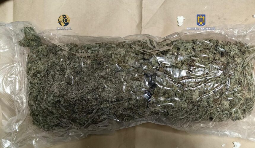 video captura de proportii la constanta aproape 9 kilograme de canabis trimise din spania prin curier 681e09ac7358f