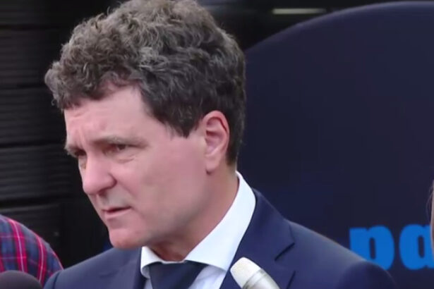 video ce spune nicusor dan despre infiintarea unui minister al diasporei 682f5a5bdd2f6