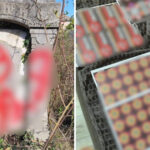 video cimitir vandalizat cu insemne naziste de trei tineri s au filmat si au publicat imaginile pe retelele sociale ce cred politistii 6826b98da44aa