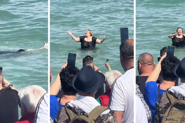 video de la baia de multime la baia in mare diana sosoaca a inotat si a facut show la neptun 68138bdc66838