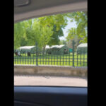 video dezinformare privind razboiul raspandita pe tiktok printr o inregistrare cu organizarea astrofest in bucuresti sunt baliverne 68307a1ba7c3a