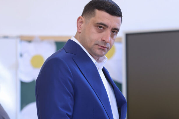 video george simion mesaj in engleza pentru sustinatorii din afara tarii nu putem acuza o manipulare semnificativa a buletinelor de vot 682ae49ebda47