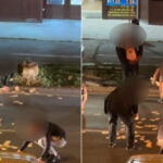 video incident neobisnuit in timisoara o femeie a aruncat 13 000 de euro in mijlocul strazii de ce a recurs la acest gest 6828e1aa27bd2