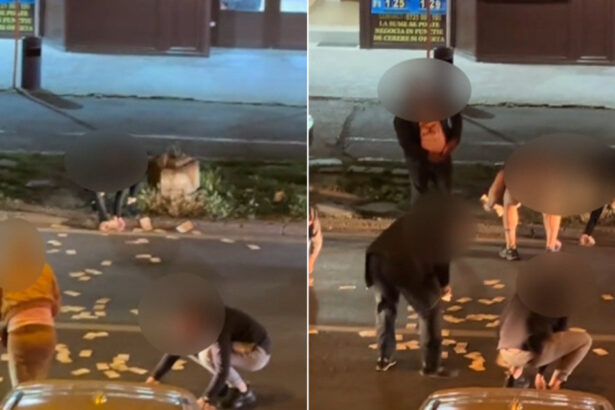 video incident neobisnuit in timisoara o femeie a aruncat 13 000 de euro in mijlocul strazii de ce a recurs la acest gest 6828e1aa27bd2
