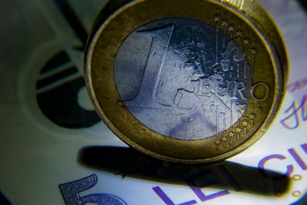 video maxim istoric cursul euro leu anuntat de bnr a depasit pragul psihologic de 5 lei 681a19b7ac559
