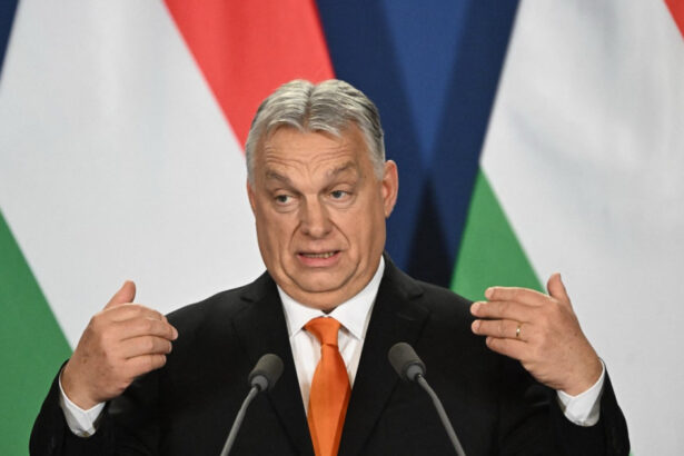 video mesajul lui viktor orban despre alegerile din romania ce asigurari a dat premierul maghiar 681e3603e86cf