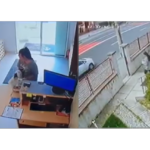 video o cutie pentru donatii a fost furata din receptia unei clinici veterinare se cauta femeia care a plecat cu banii 68190db0c36dc